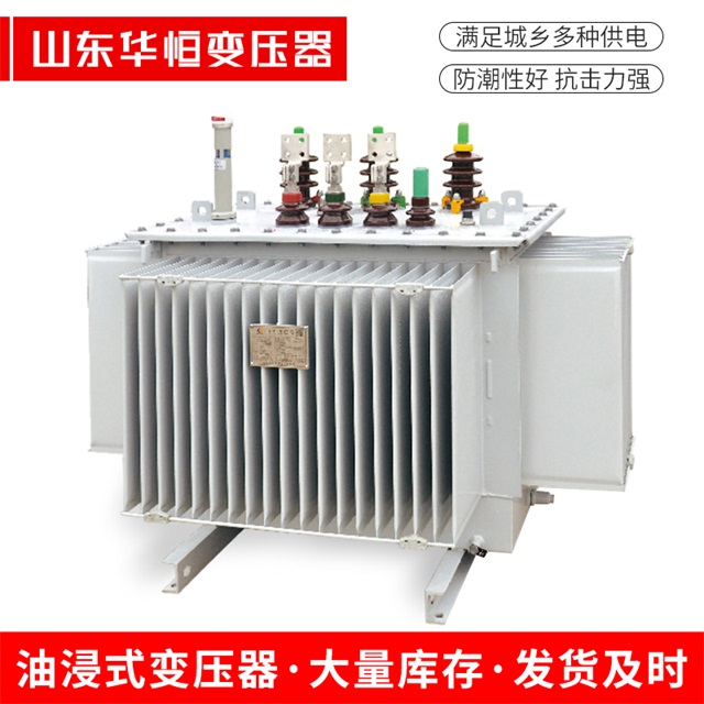 S13-10000/35王益王益王益电力变压器